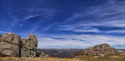 Kosciuszko NP - NSW T (PBH4 00 10659)